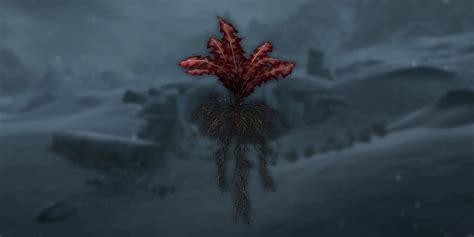Growing <strong>Nirnroot</strong> and <strong>Crimson Nirnroot</strong>? Is there a mod that makes it possible to grow <strong>Nirnroot</strong> and <strong>Crimson Nirnroot</strong> in Hearthfire gardens? I'm playing a character based around poisoning and having to go down into blackreach and hunt around every time I want to make some new good health damage poison is a huge pain. . Skyrim crimson nirnroot